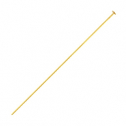 Stainless steel findings headpins 40mm Gold