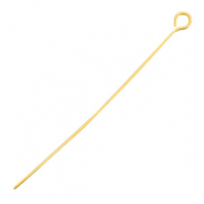 Stainless steel findings eyepins 50mm Gold