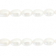 BQ Freshwater pearls rice 7x6mm Natural White