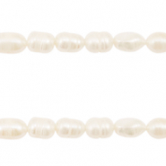 BQ Freshwater pearls rice 8x6mm Natural White