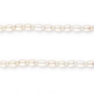 TQ Freshwater pearls rice 7x5mm Natural White