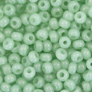 Preciosa Preciosa glass seed beads 6/0