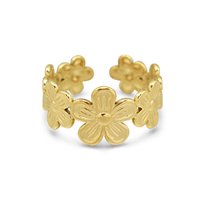 Stainless steel rings Gold