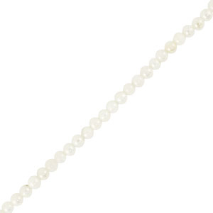 Shell beads round White