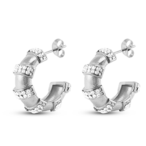 Stainless steel earrings / earpins Silver