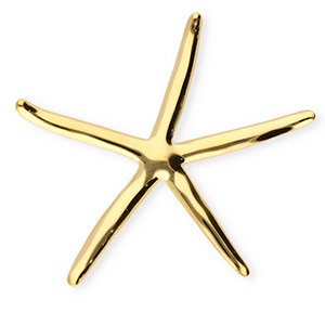 Stainless steel statement brooches starfish Gold