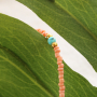 How to make fantastic necklaces with seed beads: