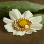 Create personalized bracelets with Birth Flower beads 